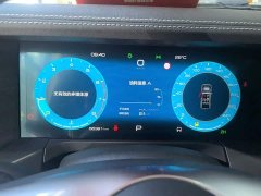 Tank 300 2021 Off-Road Edition 2.0T Conqueror - ფოტო 5