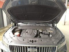 Geely Xingyue L 2.0TD High-Power Automatic FWD Horizon Edition - ფოტო 20