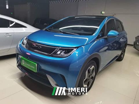 2022 BYD Dolphin 405km Fashion Edition