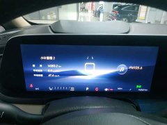 Buick GL8 ES Luxe Enjoyment Edition - ფოტო 4