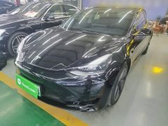 Tesla Model 3 Standard Range RWD Upgrade 3D6 - ფოტო 1