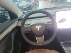 Tesla Model 3 Standard Range RWD Upgrade 3D6 - ფოტო 11