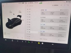 Tesla Model 3 Standard Range RWD Upgrade 3D6 - ფოტო 12