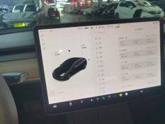Tesla Model 3 Standard Range RWD Upgrade 3D6 - ფოტო 13