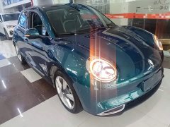 ORA Good Cat 401km Standard Range Comfort Edition LFP Battery - ფოტო 4