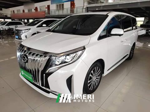 2021 GAC Aion M8 Premier Series 390T Supreme Edition