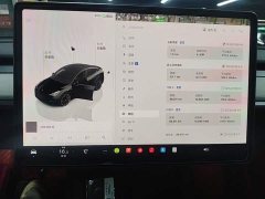 Tesla Model Y 2023 Long Range All-Wheel Drive - ფოტო 12