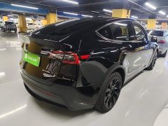 Tesla Model Y 2023 Long Range All-Wheel Drive - ფოტო 7