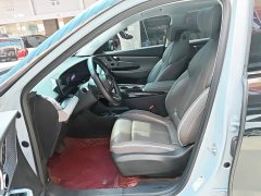 Buick E5 Premium Comfort Extended Range Entertainment Edition - ფოტო 15