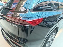 Buick E5 Premium Comfort Extended Range Entertainment Edition - ფოტო 8
