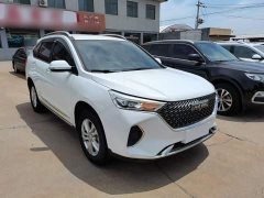 Haval M6 PLUS 1.5T Manual Elite Smart Connected - ფოტო 4