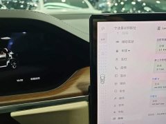 Tesla Model X Dual Motor All-Wheel Drive - ფოტო 10