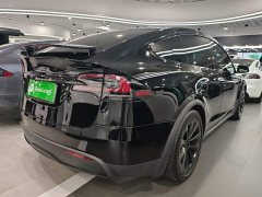 Tesla Model X Dual Motor All-Wheel Drive - ფოტო 5