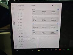 Tesla Model X Dual Motor All-Wheel Drive - ფოტო 8