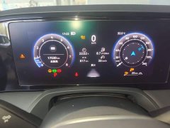 Volkswagen Magotan 380TSI DSG Premium Edition - ფოტო 12
