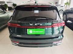 Great Wall WEY Blue Mountain 2025 Four-Wheel Drive Max - ფოტო 6