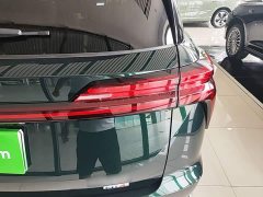 Great Wall WEY Blue Mountain 2025 Four-Wheel Drive Max - ფოტო 8