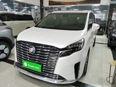Buick GL8 ES Land Respect 653T Respect Enjoyment Edition - ფოტო 1
