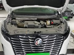 Buick GL8 ES Land Respect 653T Respect Enjoyment Edition - ფოტო 20