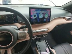 BYD Seagull Glory Edition 305km Freedom Version - ფოტო 10