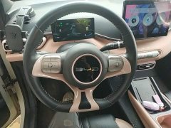 BYD Seagull Glory Edition 305km Freedom Version - ფოტო 11
