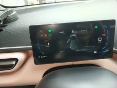 BYD Seagull Glory Edition 305km Freedom Version - ფოტო 12