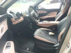 BYD Seagull Glory Edition 305km Freedom Version - ფოტო 15