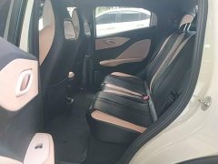 BYD Seagull Glory Edition 305km Freedom Version - ფოტო 17