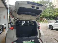 BYD Seagull Glory Edition 305km Freedom Version - ფოტო 19
