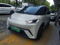 BYD Seagull Glory Edition 305km Freedom Version - ფოტო 2