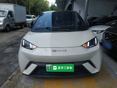 BYD Seagull Glory Edition 305km Freedom Version - ფოტო 3