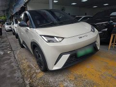 BYD Seagull Glory Edition 305km Freedom Version - ფოტო 4