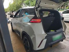 BYD Seagull Glory Edition 305km Freedom Version - ფოტო 5