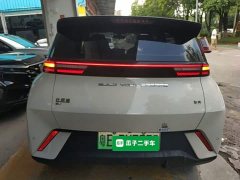 BYD Seagull Glory Edition 305km Freedom Version - ფოტო 6