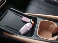 BYD Seagull Glory Edition 305km Freedom Version - ფოტო 9