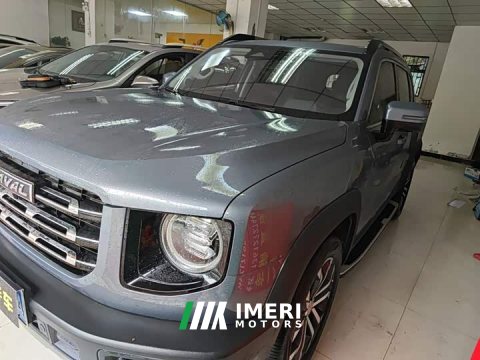 2022 Great Wall Dachshund 1.5T DCT Two-Wheel Drive Border Collie Edition - ავტომობილი ჩინეთიდან