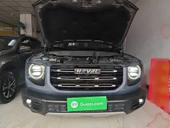 Great Wall Dachshund 1.5T DCT Two-Wheel Drive Border Collie Edition - ფოტო 20