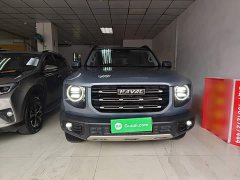 Great Wall Dachshund 1.5T DCT Two-Wheel Drive Border Collie Edition - ფოტო 3