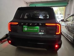 Great Wall Dachshund 1.5T DCT Two-Wheel Drive Border Collie Edition - ფოტო 6