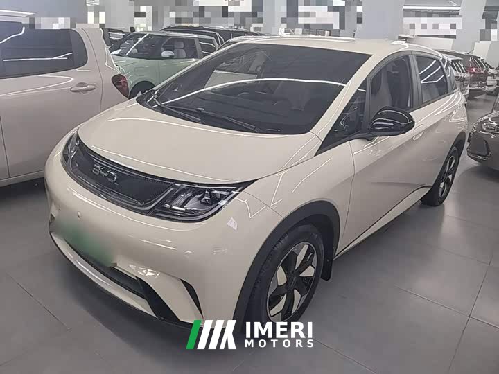 BYD Dolphin 2025 420km Freedom Edition - ავტომობილი ჩინეთიდან