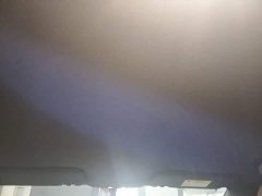 BYD Dolphin 2025 420km Freedom Edition - ფოტო 14