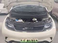 BYD Dolphin 2025 420km Freedom Edition - ფოტო 16