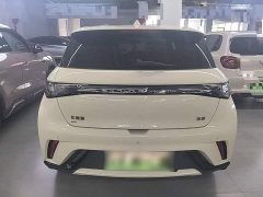 BYD Dolphin 2025 420km Freedom Edition - ფოტო 4