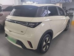 BYD Dolphin 2025 420km Freedom Edition - ფოტო 5