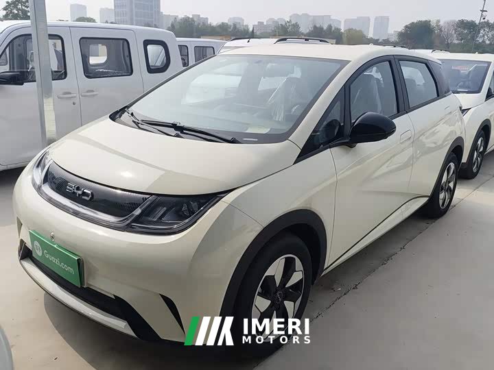 BYD Dolphin 420km Freedom Edition