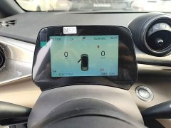 BYD Dolphin 2025 420km Freedom Edition - ფოტო 12