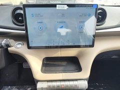 BYD Dolphin 2025 420km Freedom Edition - ფოტო 13