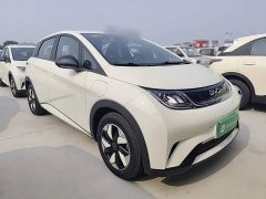 BYD Dolphin 2025 420km Freedom Edition - ფოტო 4