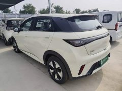 BYD Dolphin 2025 420km Freedom Edition - ფოტო 5