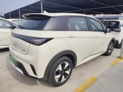 BYD Dolphin 2025 420km Freedom Edition - ფოტო 7